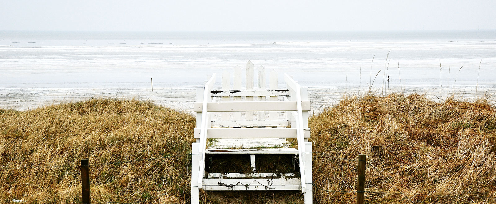 ddos在线攻击测试网站