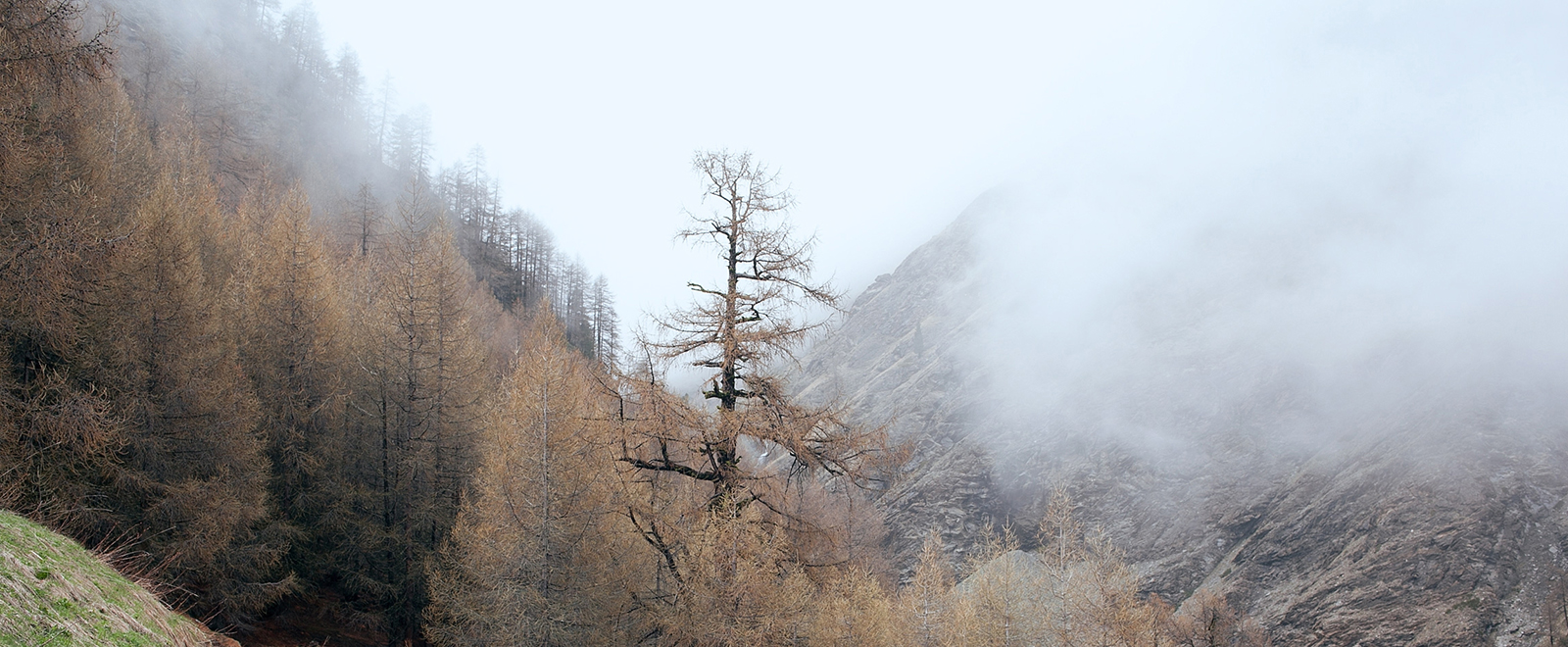 ddos服务器攻击手段