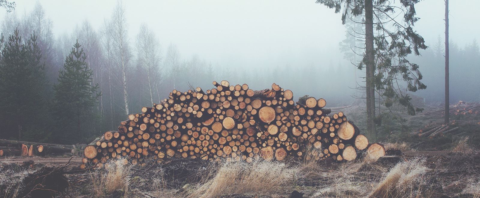 在线DDOS压力测试网页端